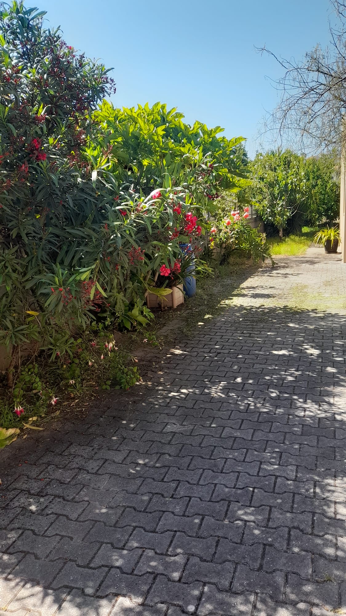 Fachada da moradia
